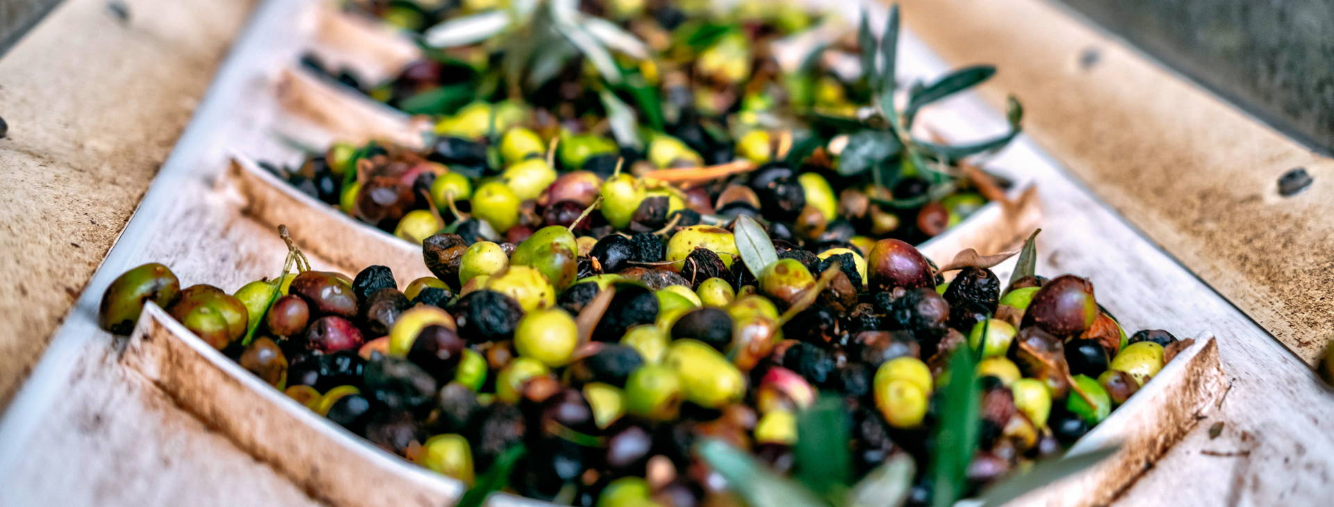 Ubytování HFK Obrázek12