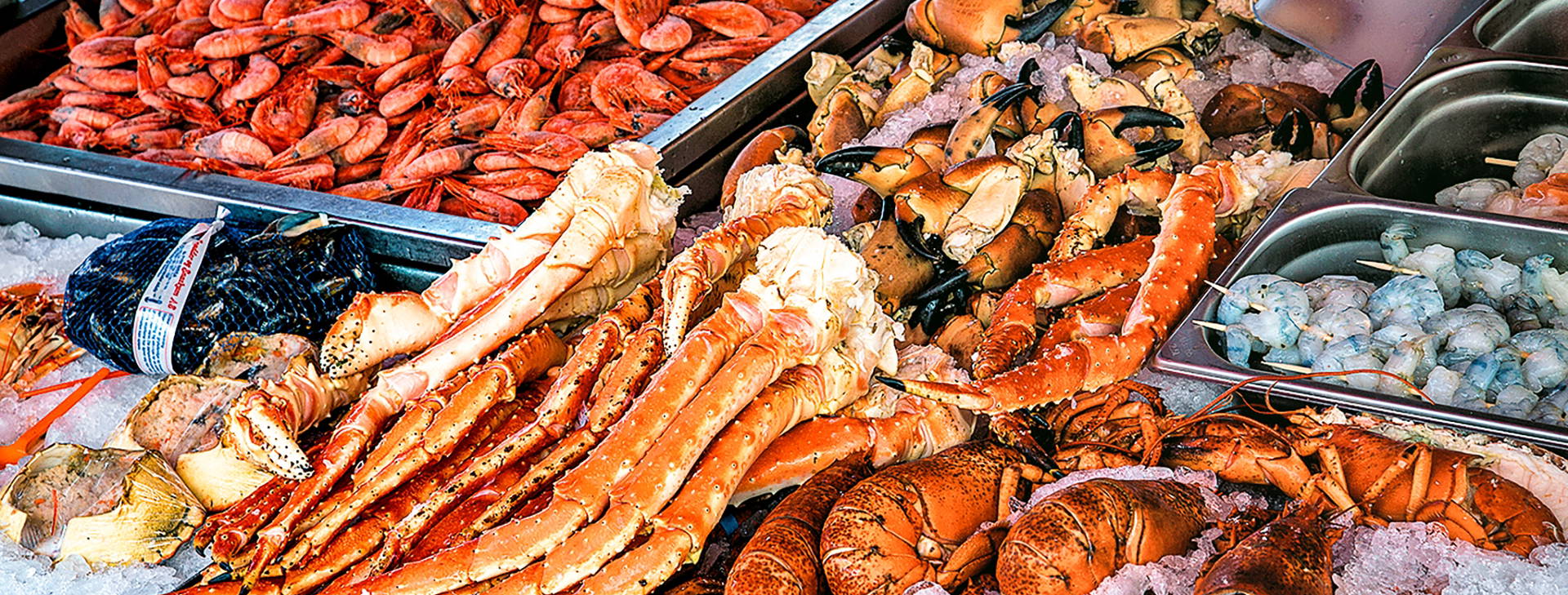 Ubytování FDX Obrázek19