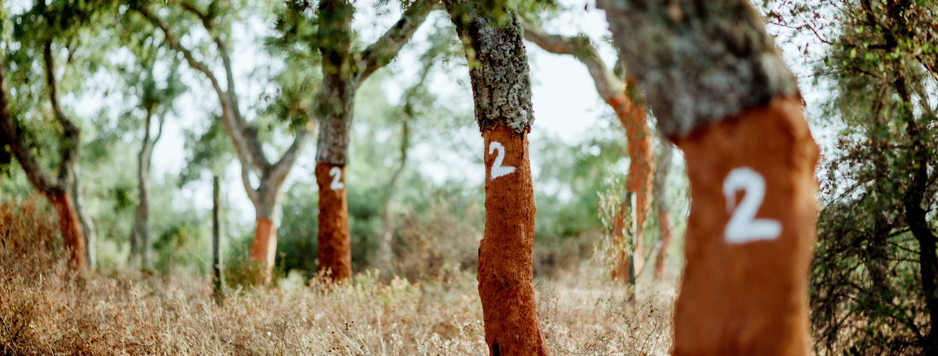 Ubytování POR Obrázek18