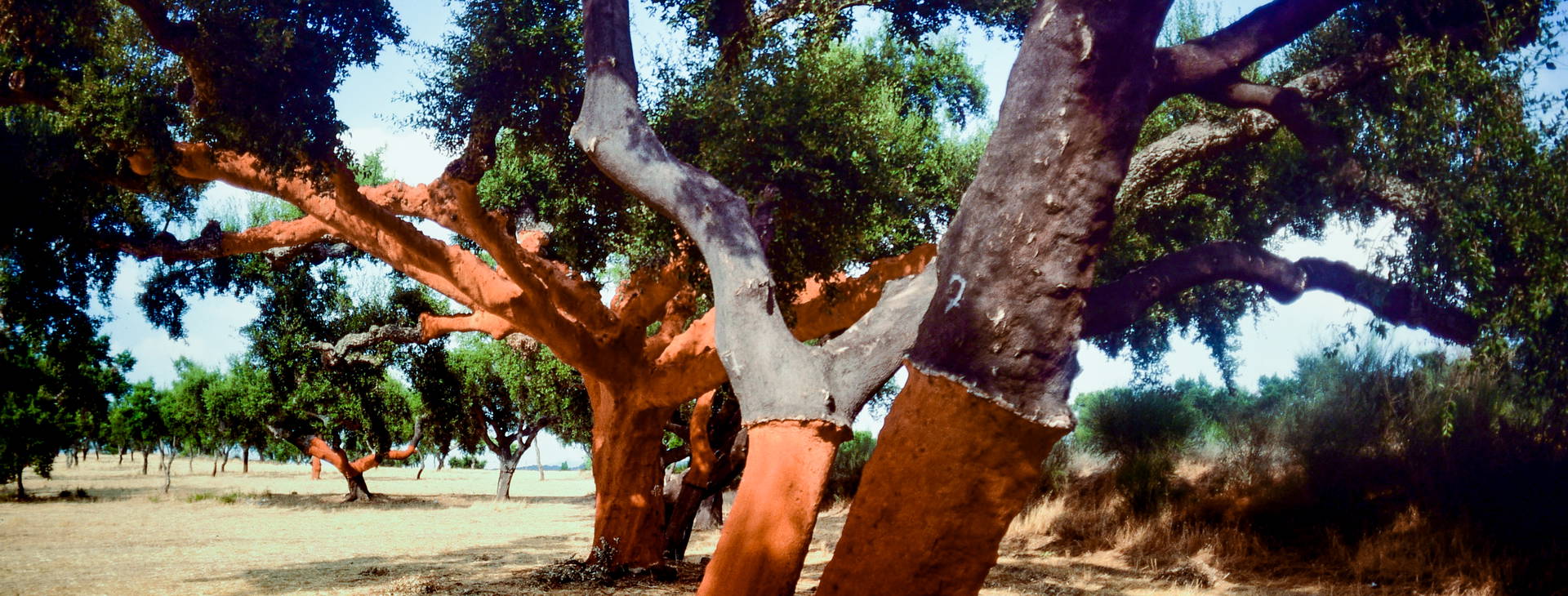 Ubytování POR Obrázek8