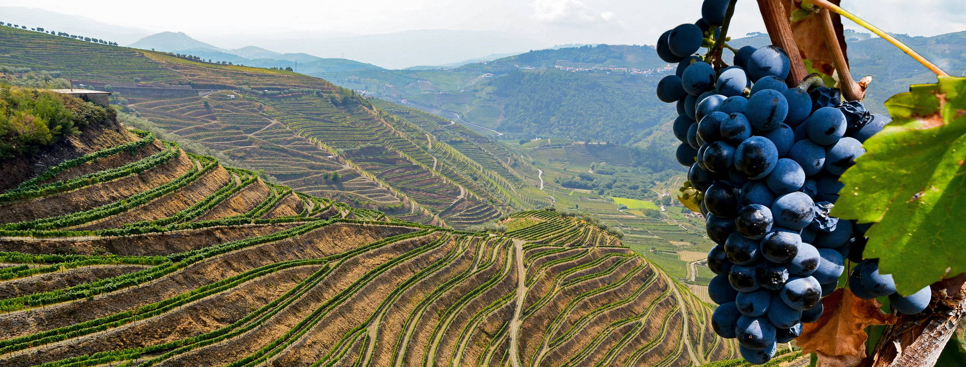 Ubytování POR Obrázek15