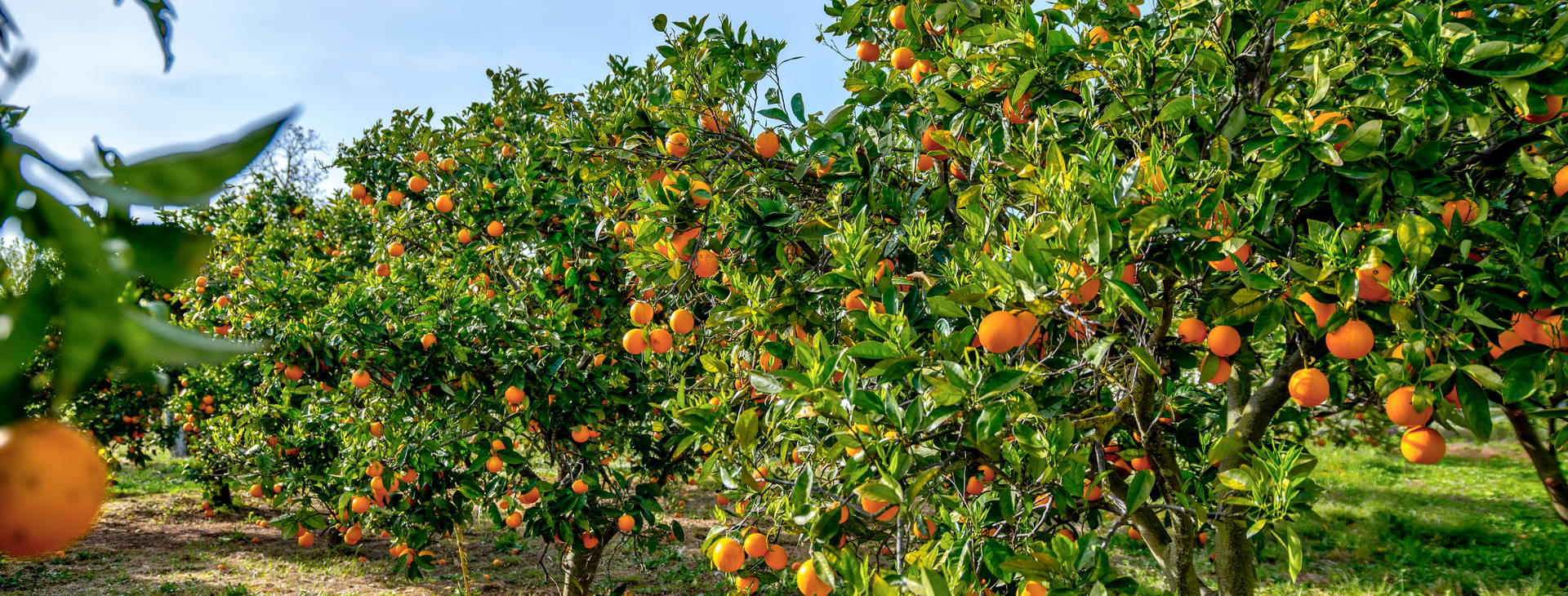 Ubytování EKA Obrázek21