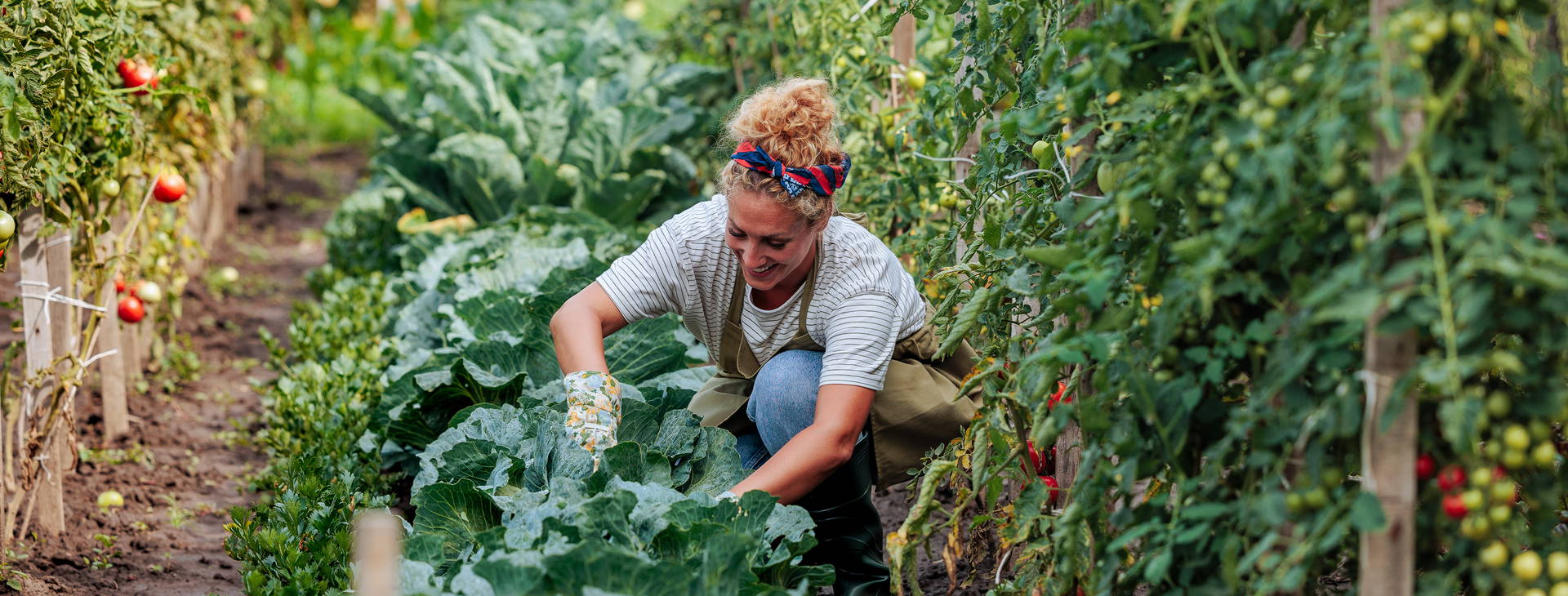Ubytování EKA Obrázek29