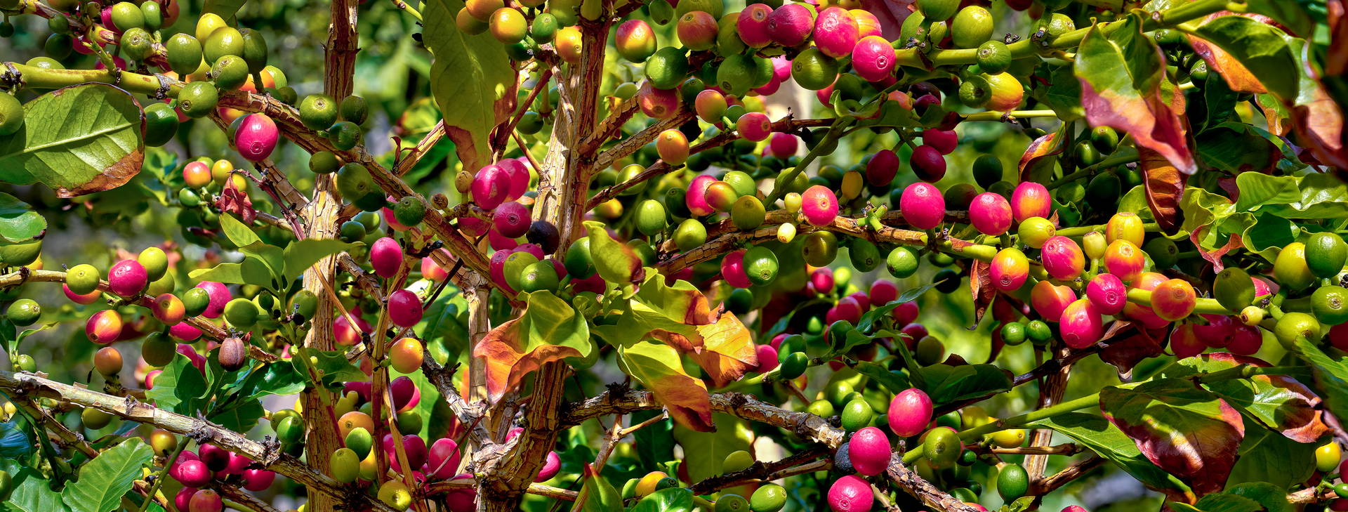 Ubytování GNK Obrázek20