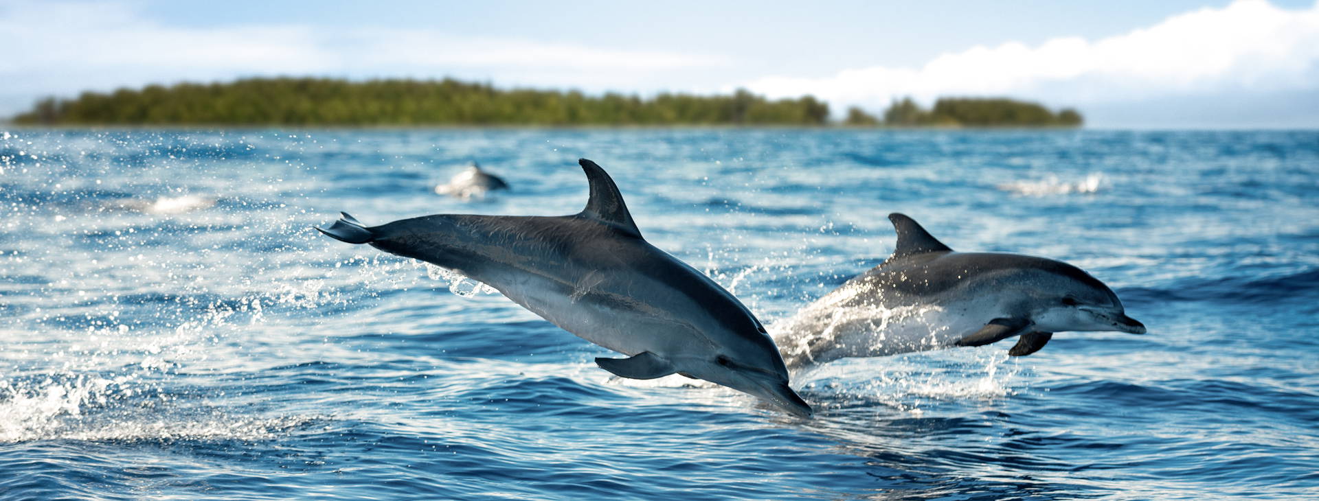 Ubytování WSP Obrázek0