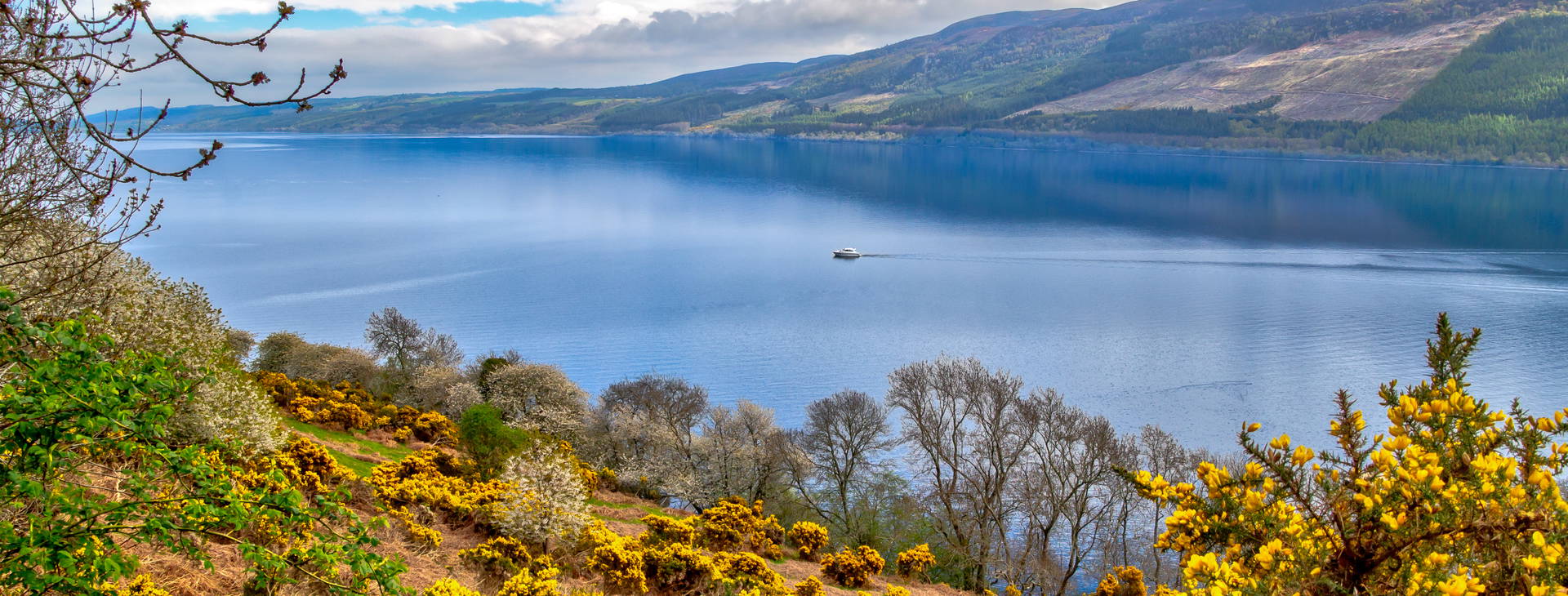 Ubytování RST (Costa Favolosa) Obrázek20