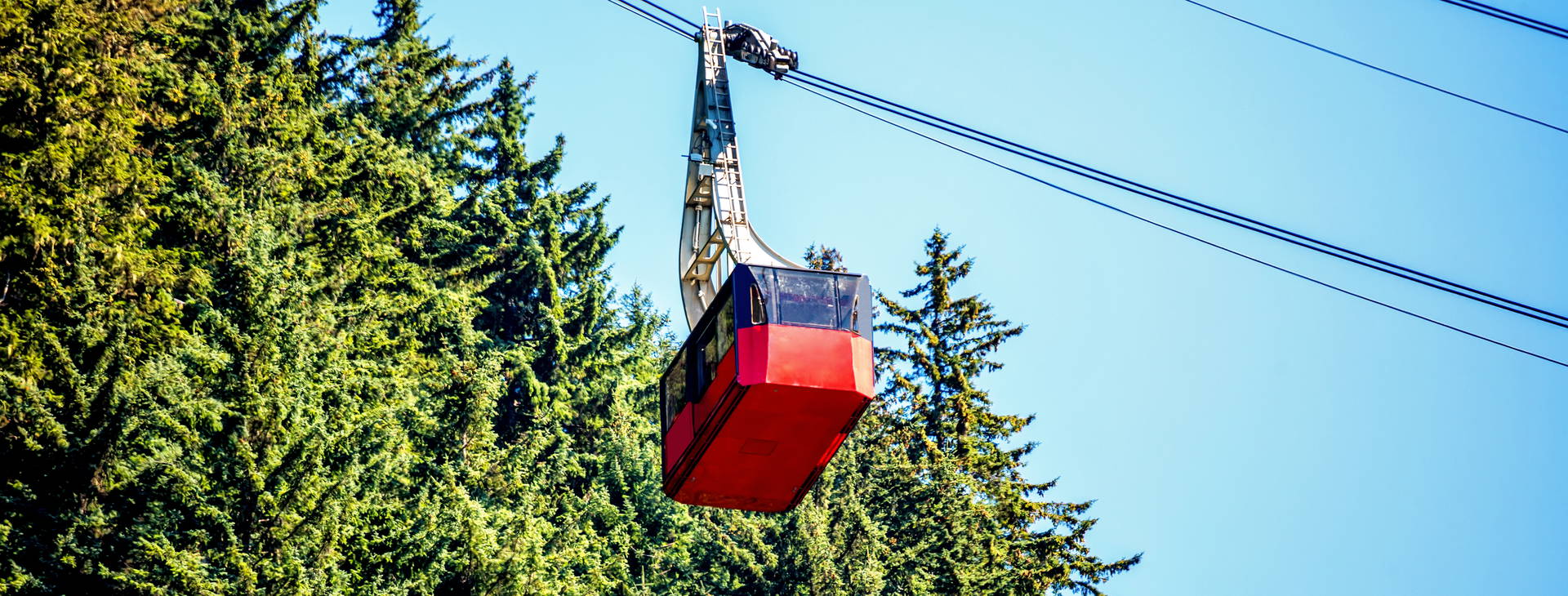 Ubytování ALT (Norwegian Bliss) Obrázek14