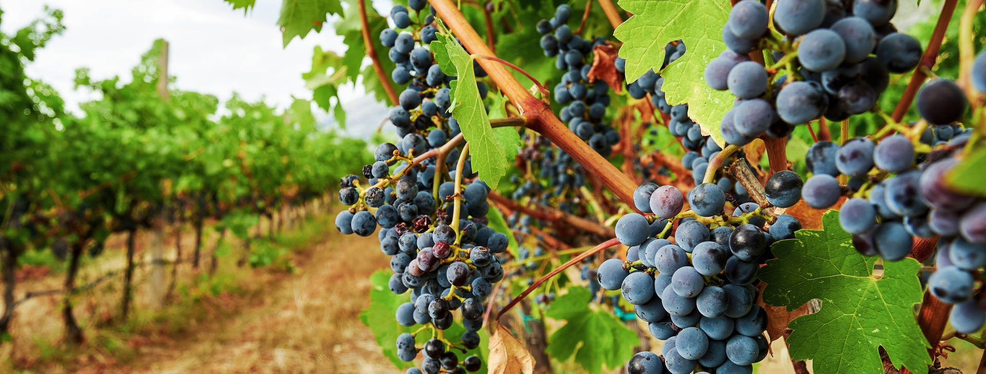 Ubytování RDP Obrázek9