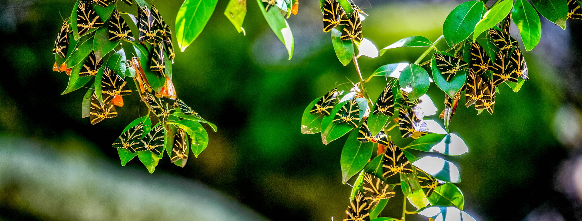 Ubytování RDP Obrázek13