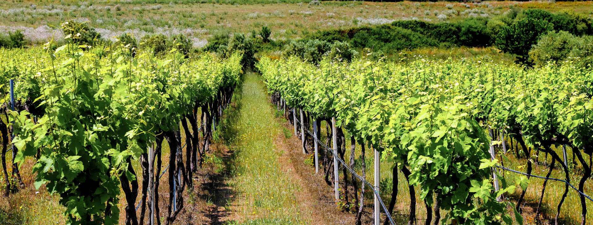 Ubytování SXD Obrázek5