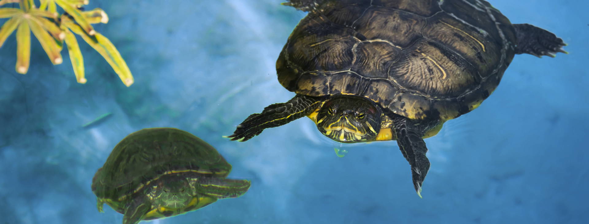 Ubytování KHF Obrázek1