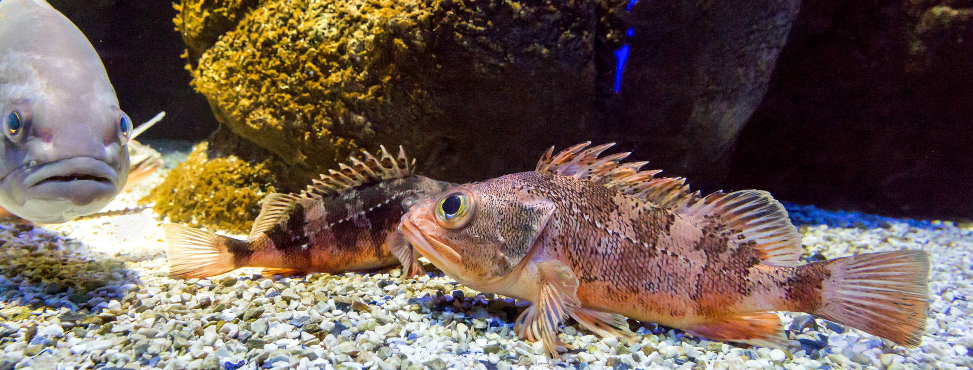 Ubytování KHF Obrázek6