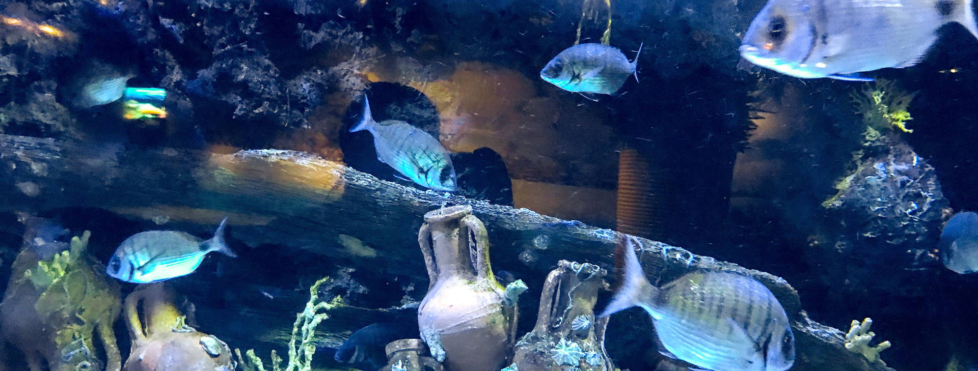 Ubytování KHF Obrázek12