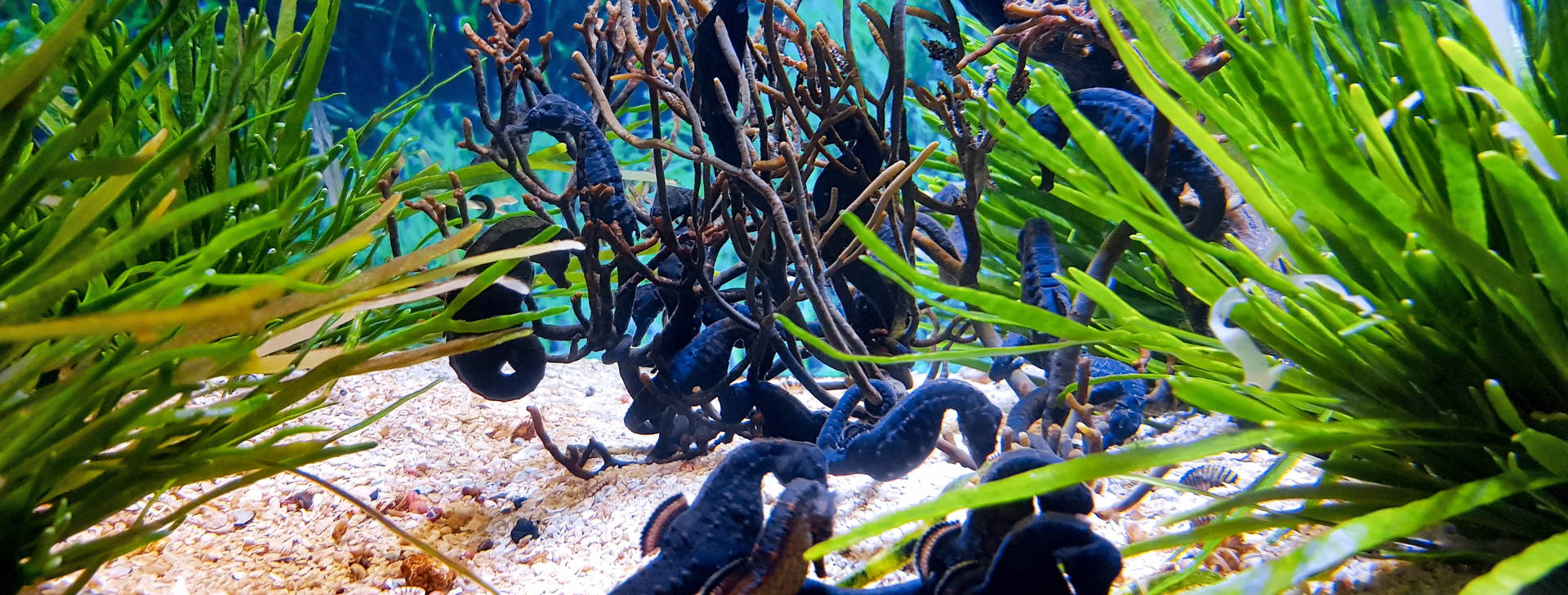 Ubytování KHF Obrázek15