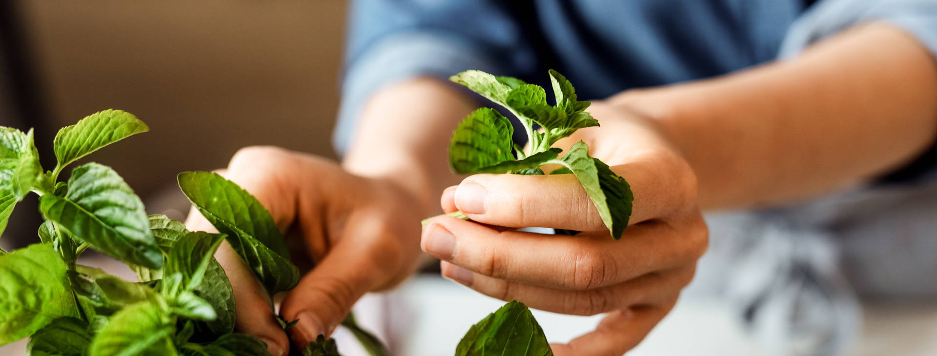 Ubytování KTQ Obrázek1