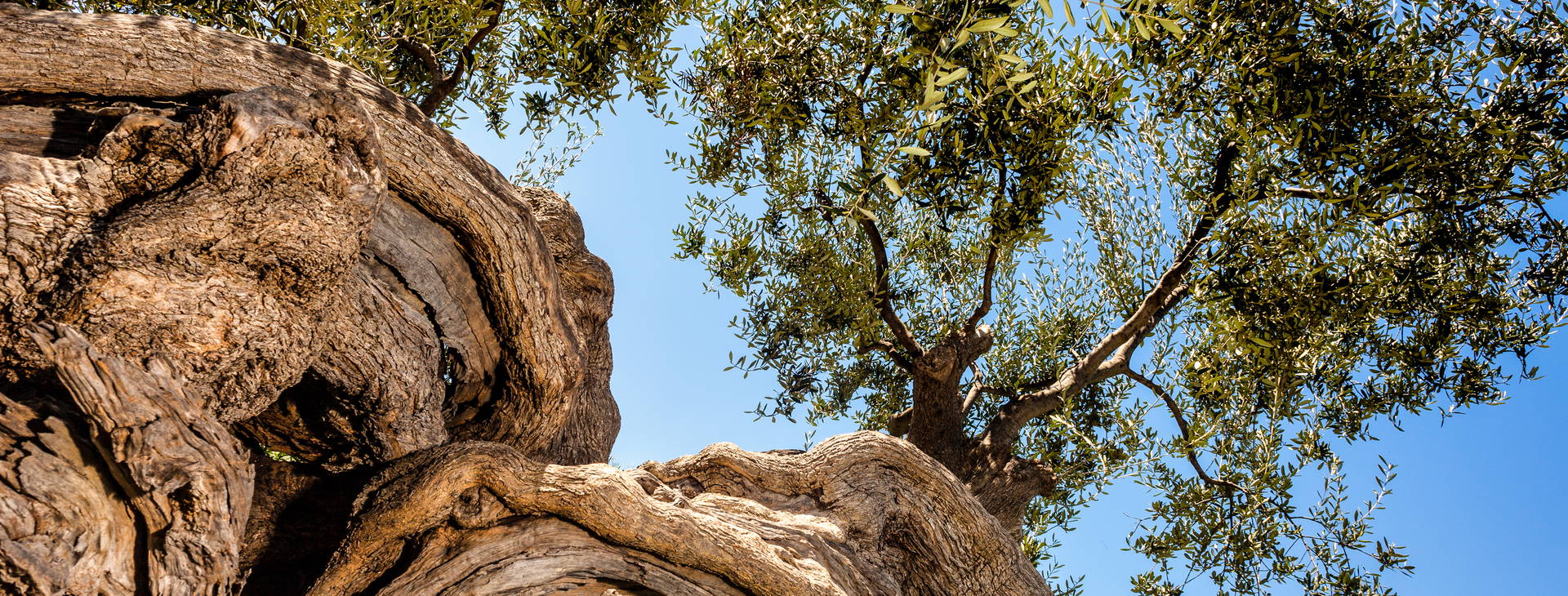 Ubytování KTQ Obrázek22