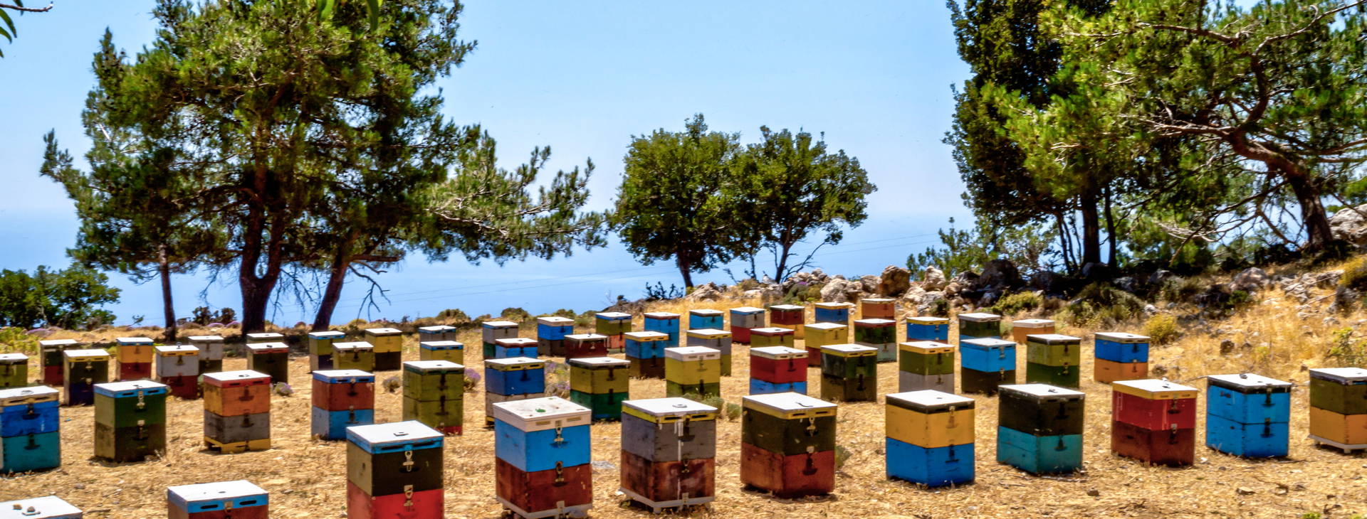 Ubytování KTQ Obrázek9