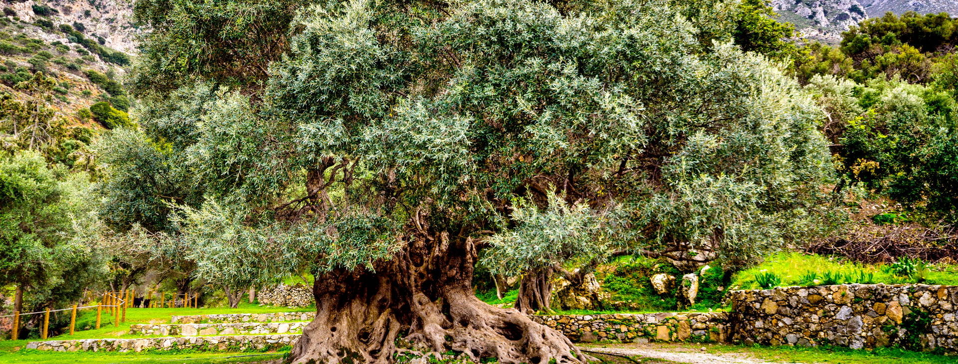 Ubytování KTQ Obrázek19