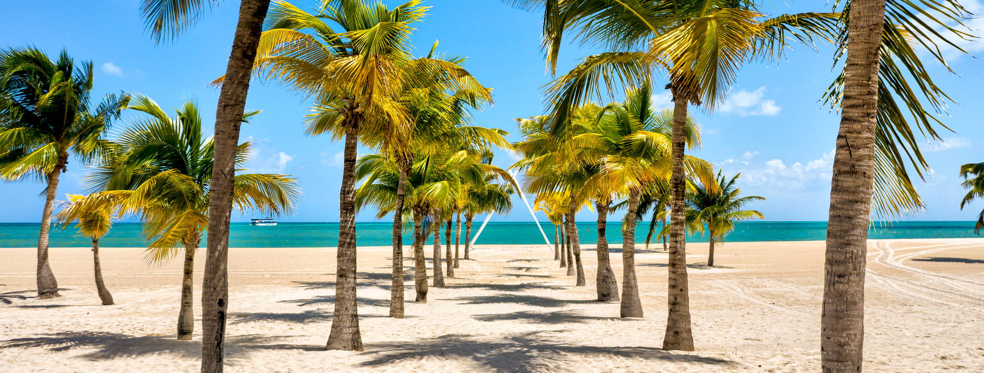 Ubytování RCG (MSC Seascape) Obrázek10