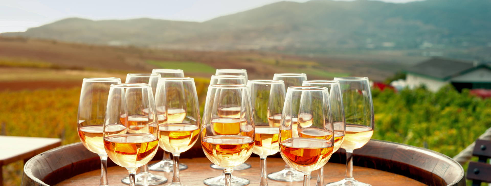 Ubytování TEK Obrázek2