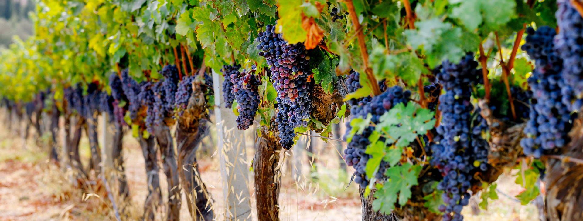 Ubytování TEK Obrázek3