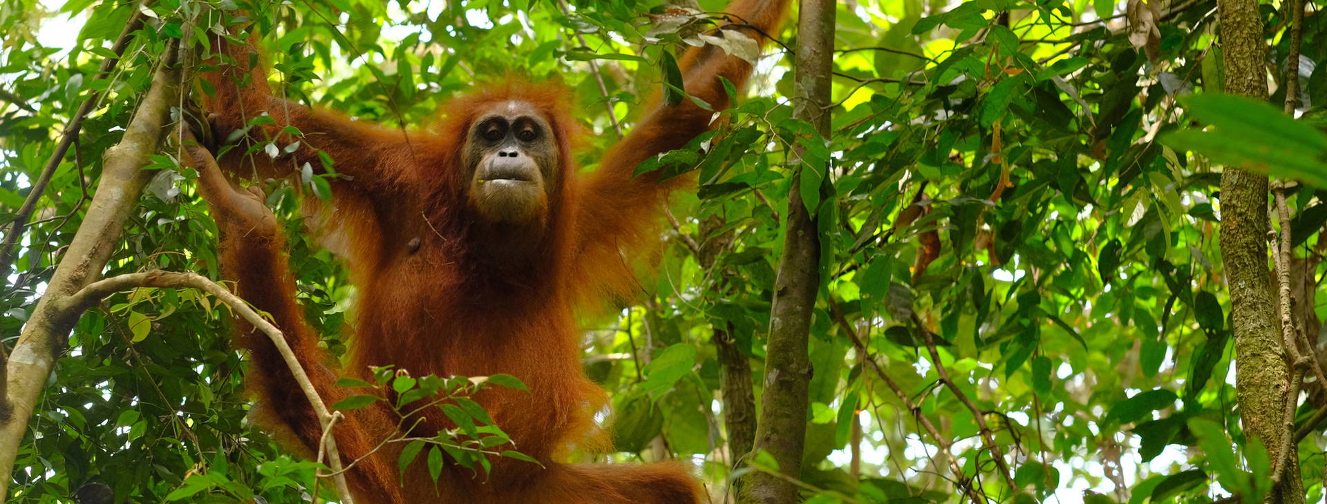 Ubytování SJB Obrázek1