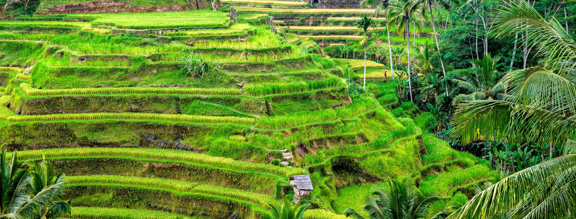 ﻿Ubytování JDX Obrázek1