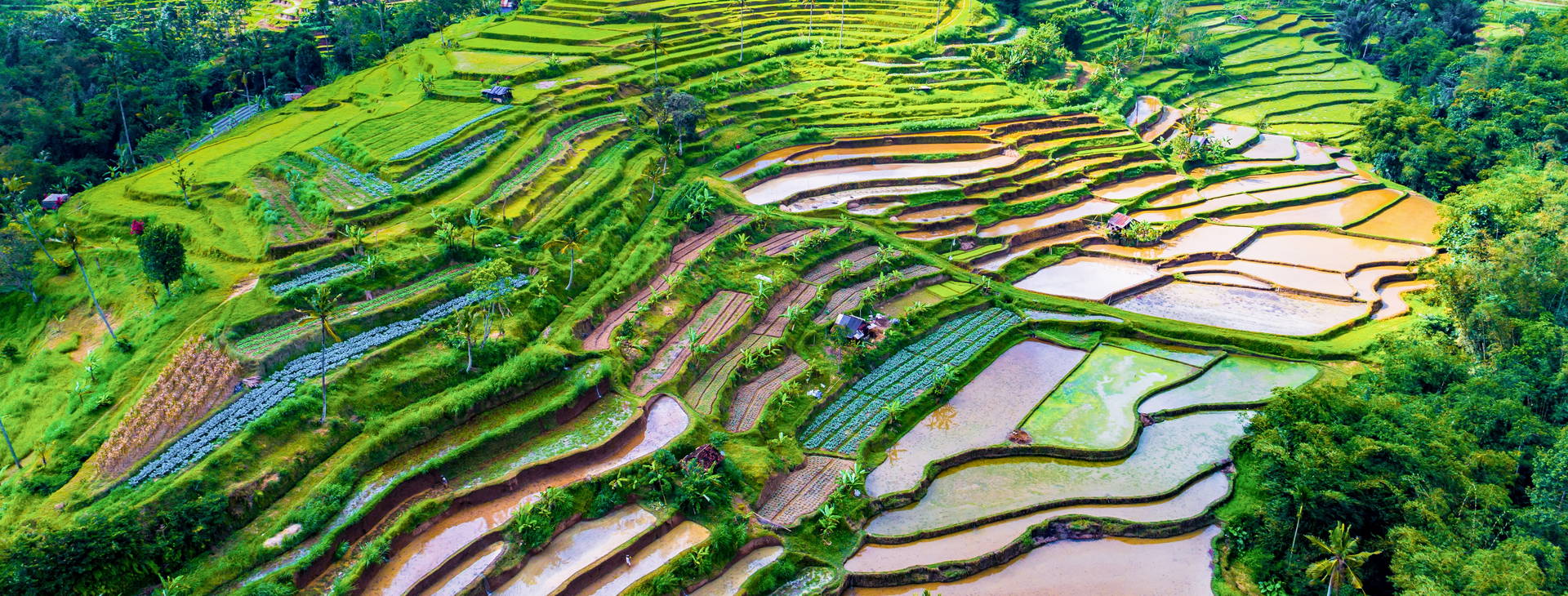 ﻿Ubytování JDX Obrázek12