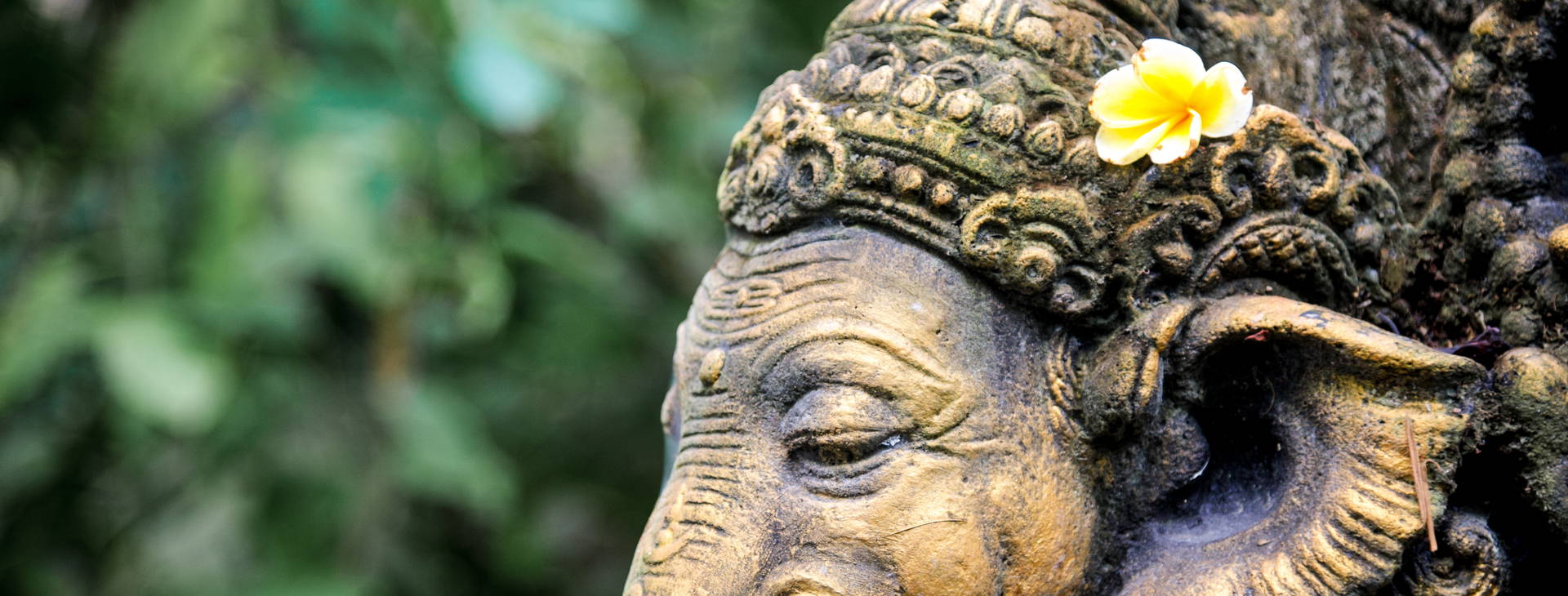 ﻿Ubytování JDX Obrázek28