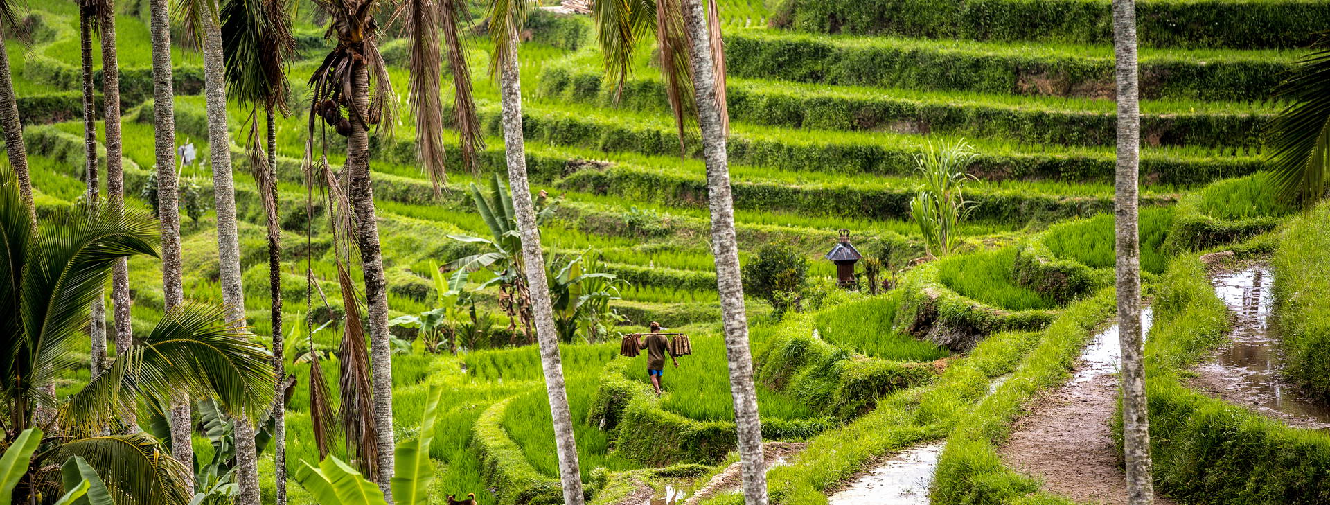 ﻿Ubytování JDX Obrázek30