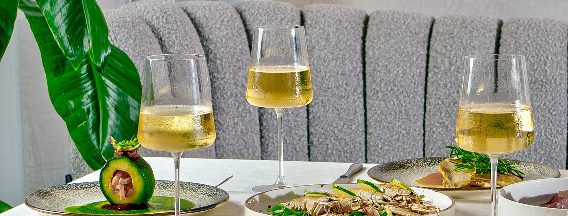 Bonita Classic Obrázek19