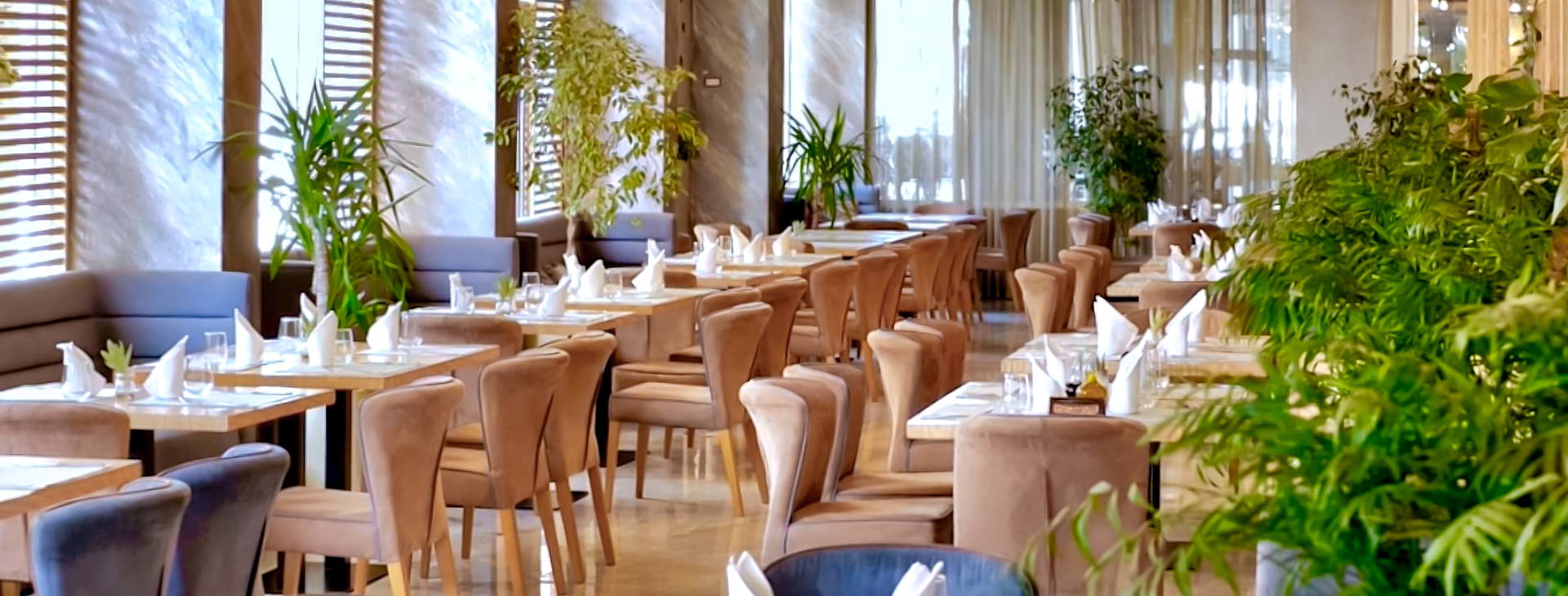 Bonita Classic Obrázek23