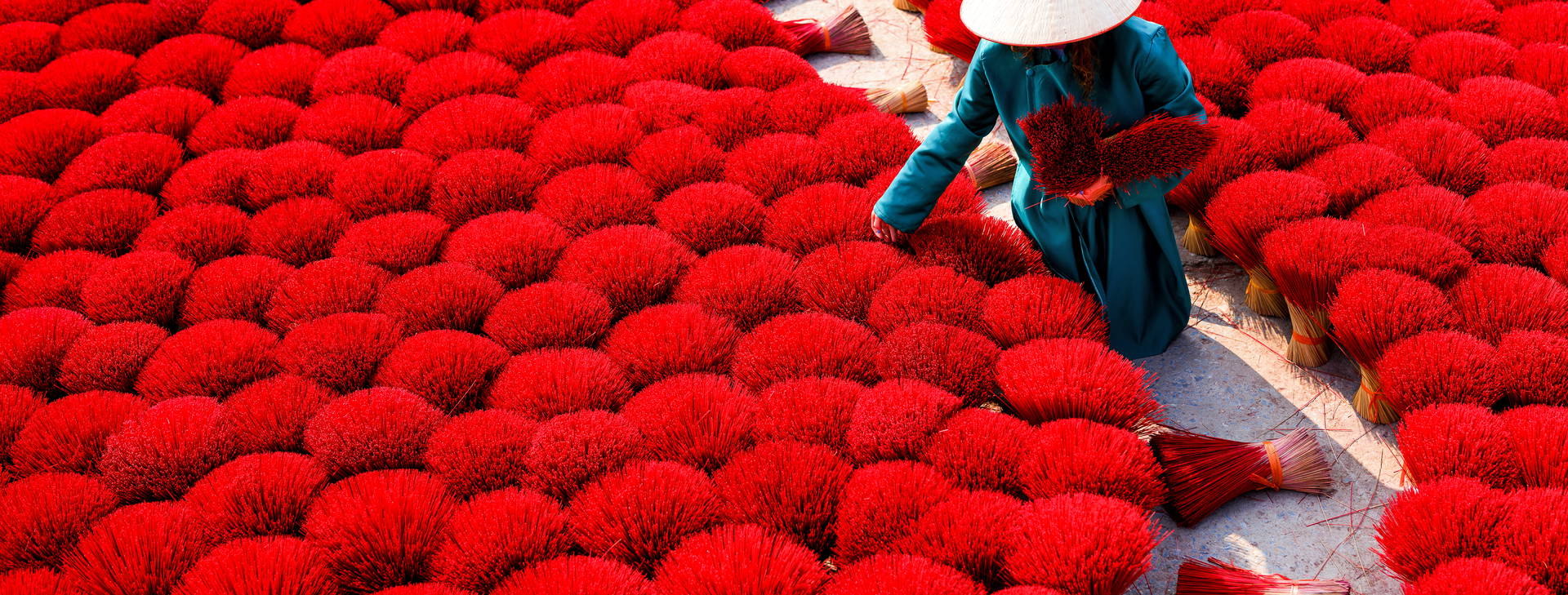 Ubytování VSX Obrázek0