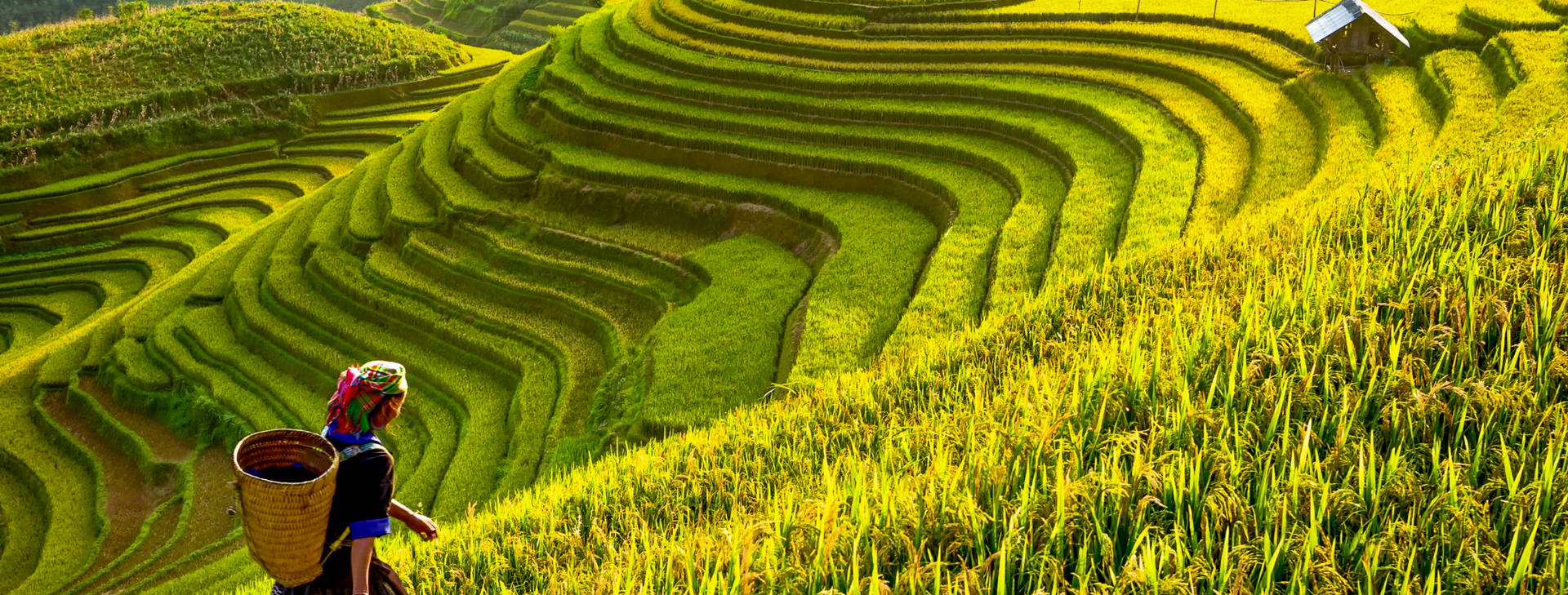 Ubytování VSX Obrázek6