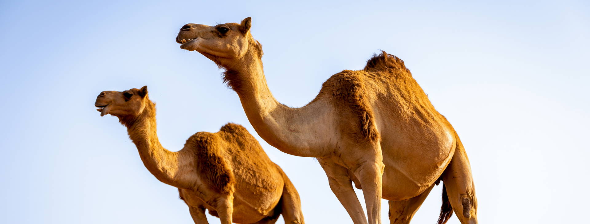 Ubytování ZIK Obrázek8