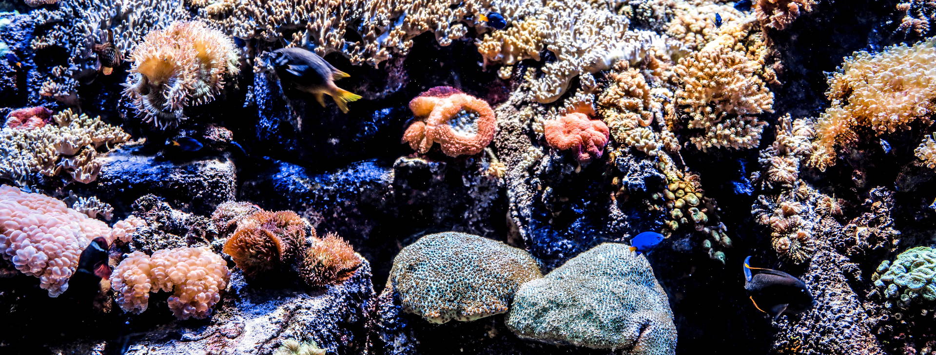 Ubytování ZIK Obrázek10