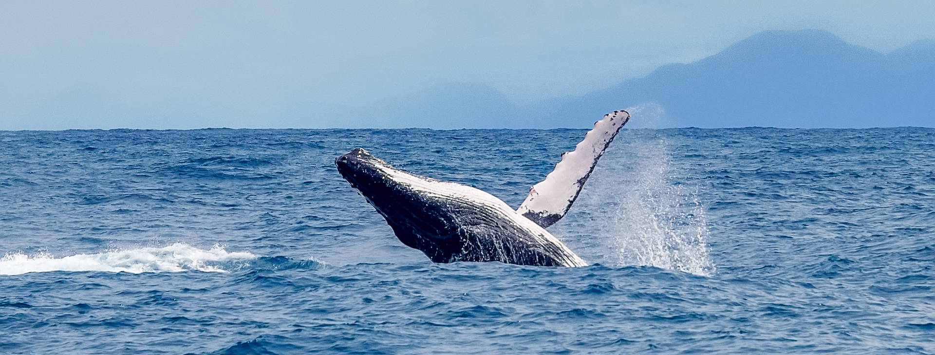 Ubytování BSW Obrázek6