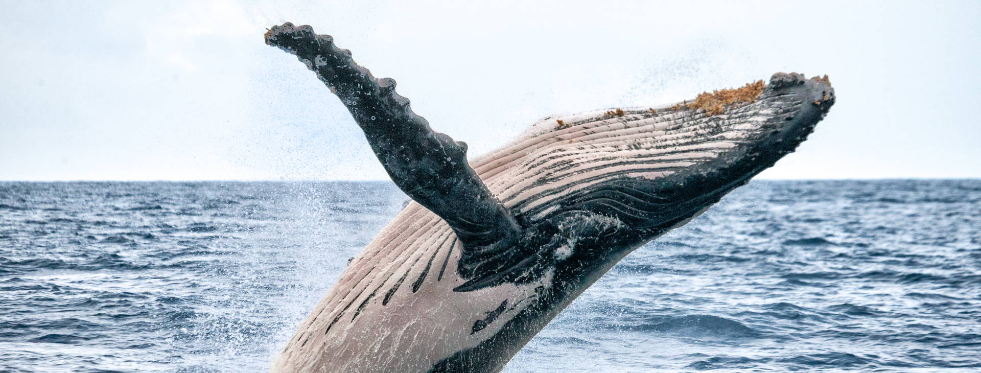 Ubytování BSW Obrázek10