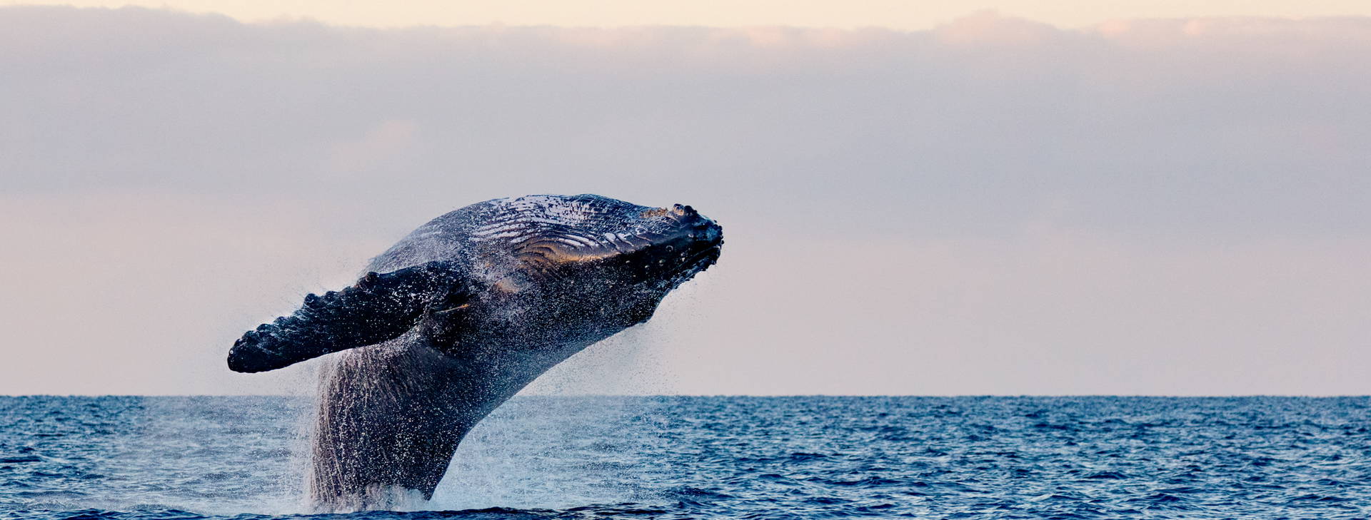 Ubytování BSW Obrázek0