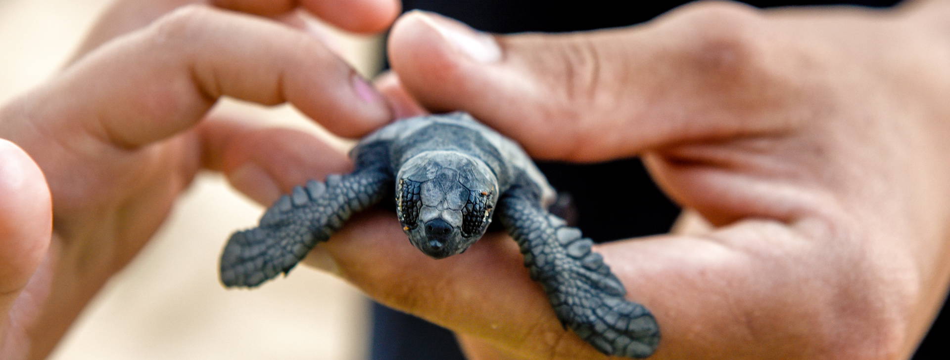 Ubytování BSW Obrázek14