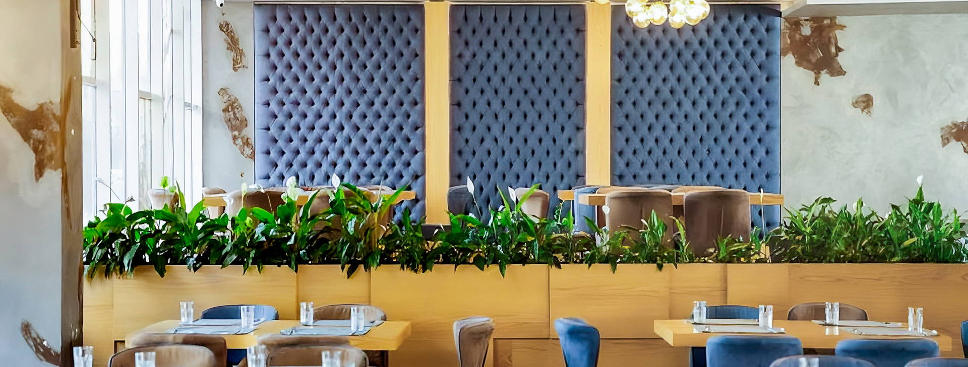 Bonita Classic Obrázek30