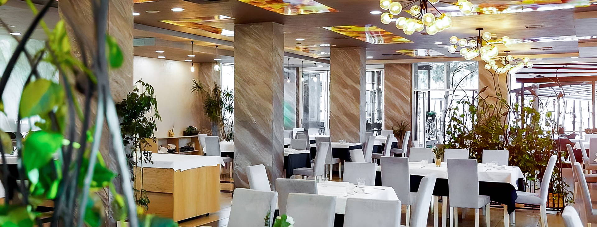 Bonita Classic Obrázek24