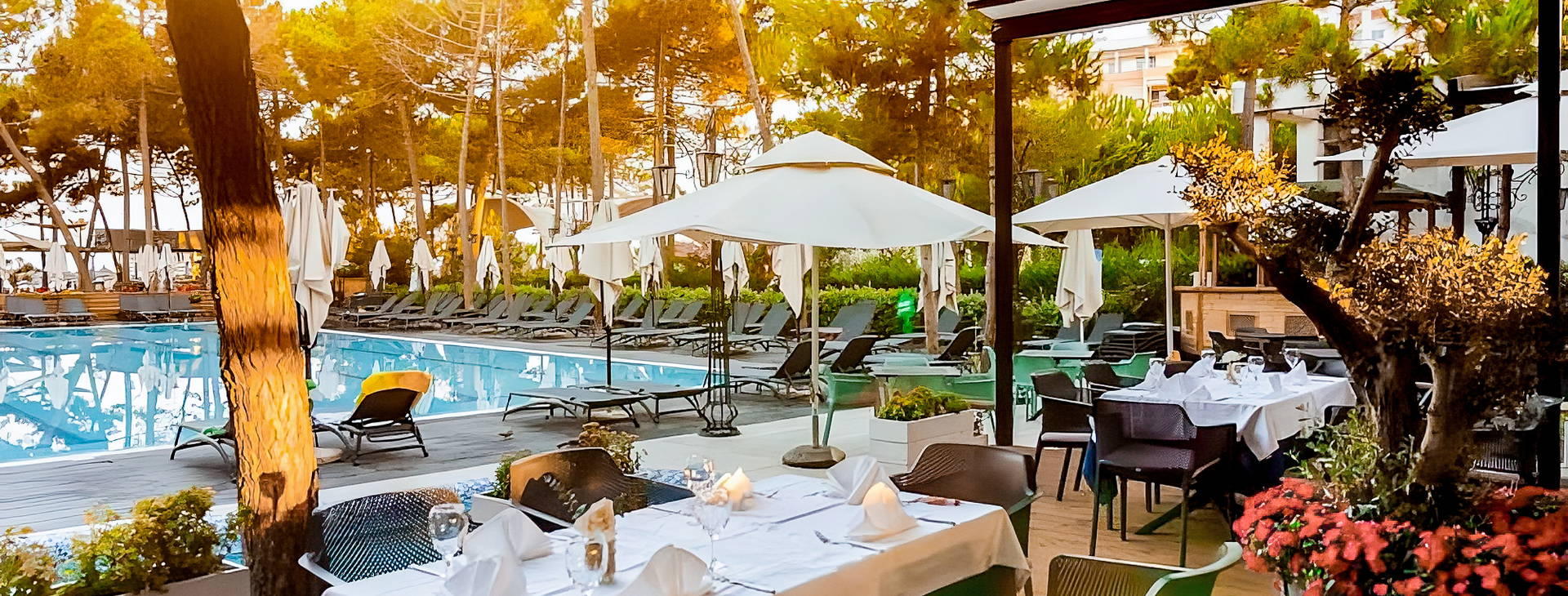 Bonita Classic Obrázek4