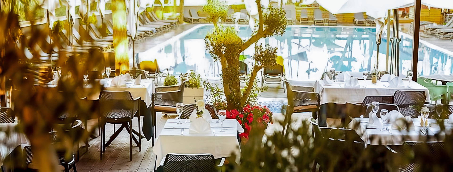 Bonita Classic Obrázek10