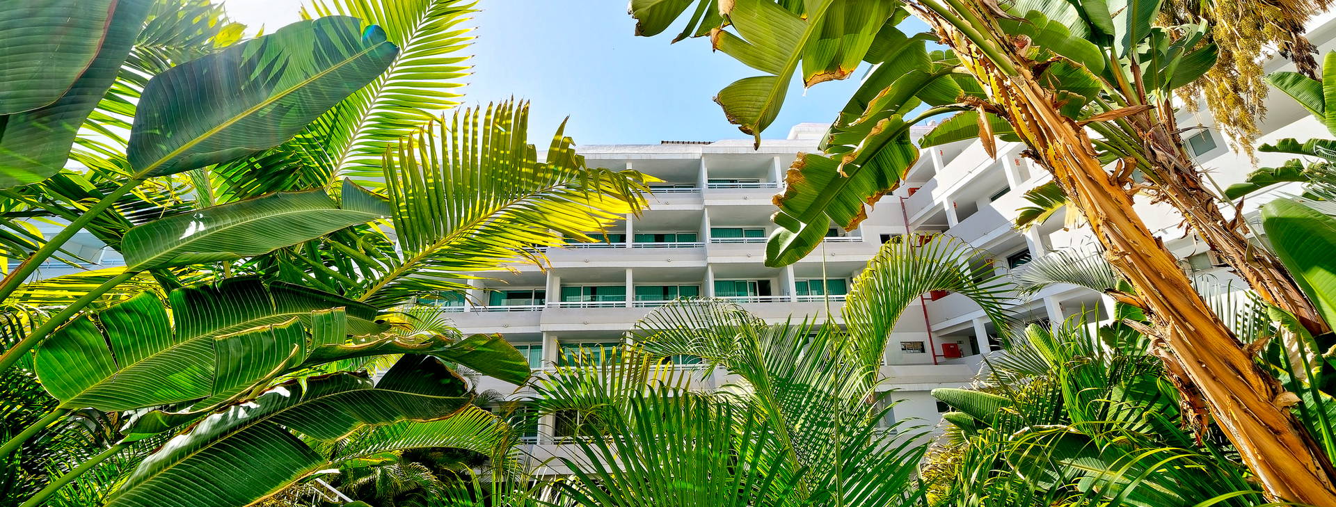 Akeah Broncemar Obrázek21