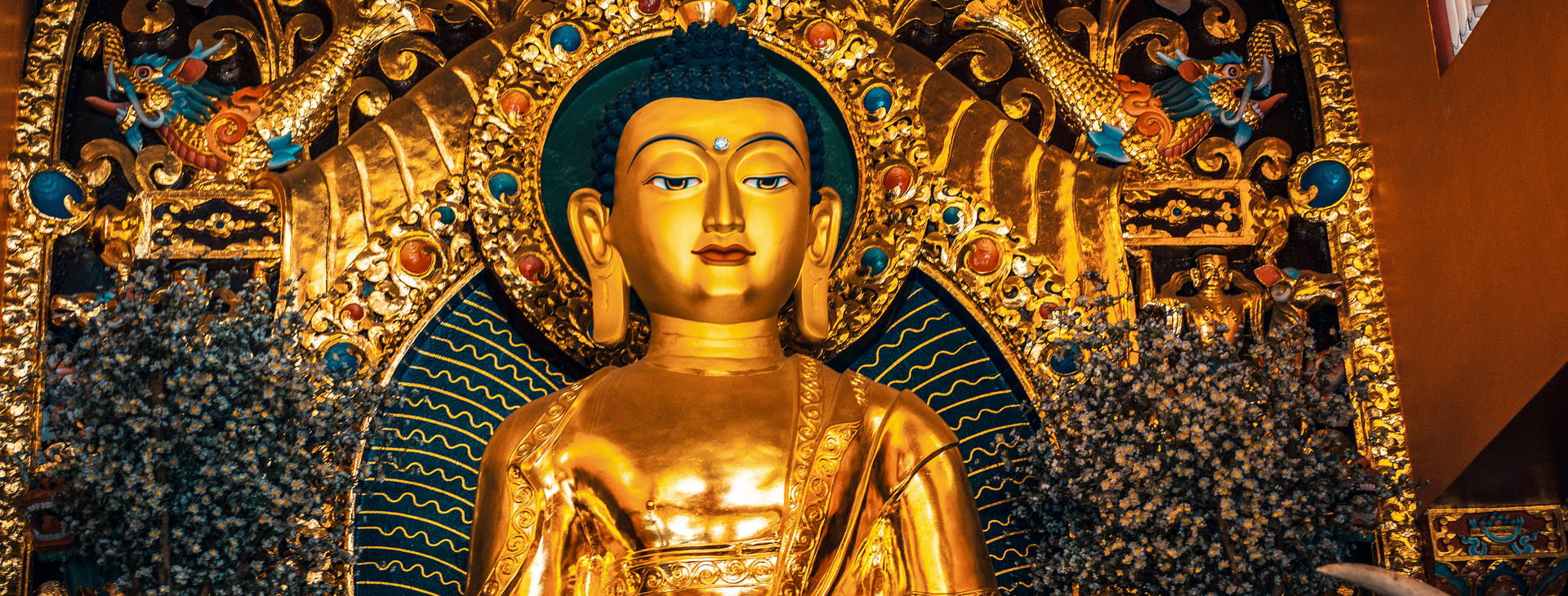 Ubytování IXN Obrázek34