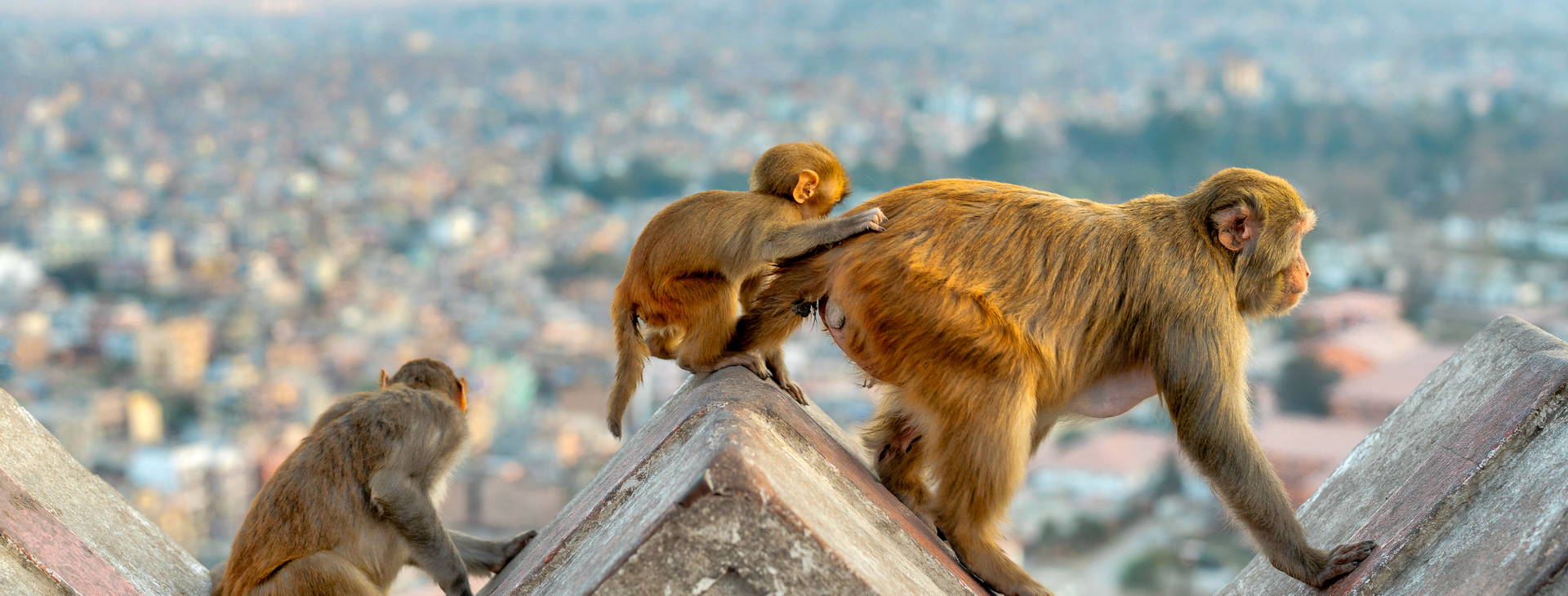 Ubytování IXN Obrázek6