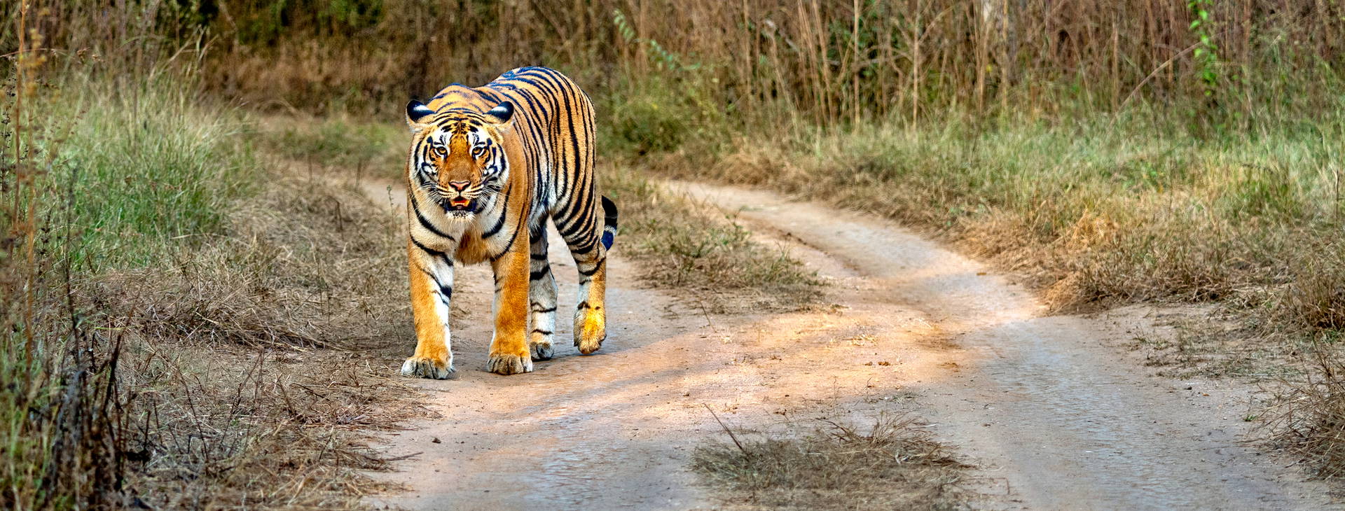 Ubytování IXN Obrázek21