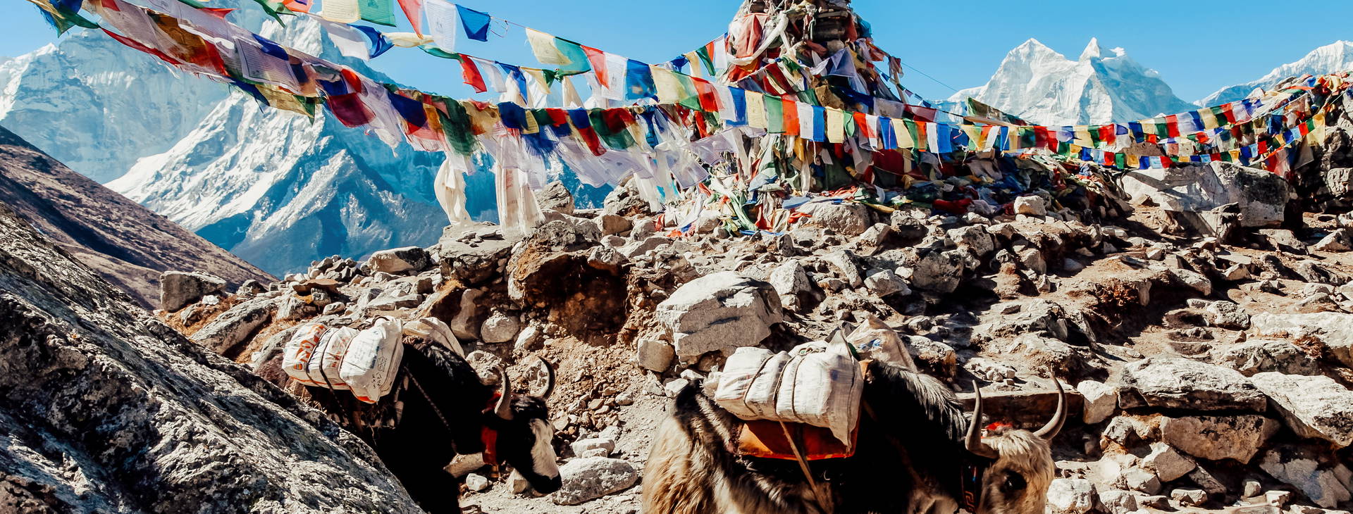 Ubytování IXN Obrázek14