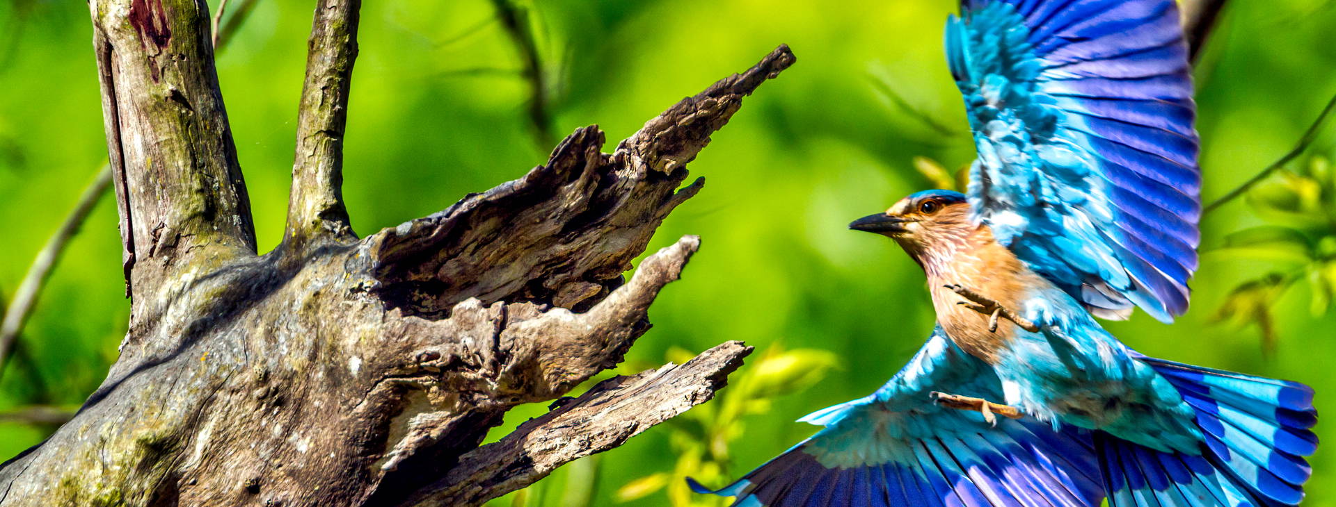 Ubytování INN Obrázek16